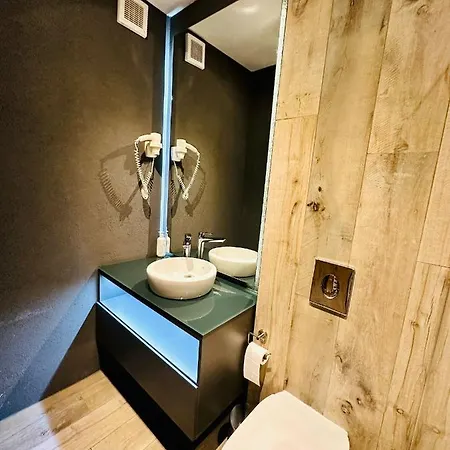 Kharisma Apartment-free Parking-ultracentral Apartment Cluj-Napoca